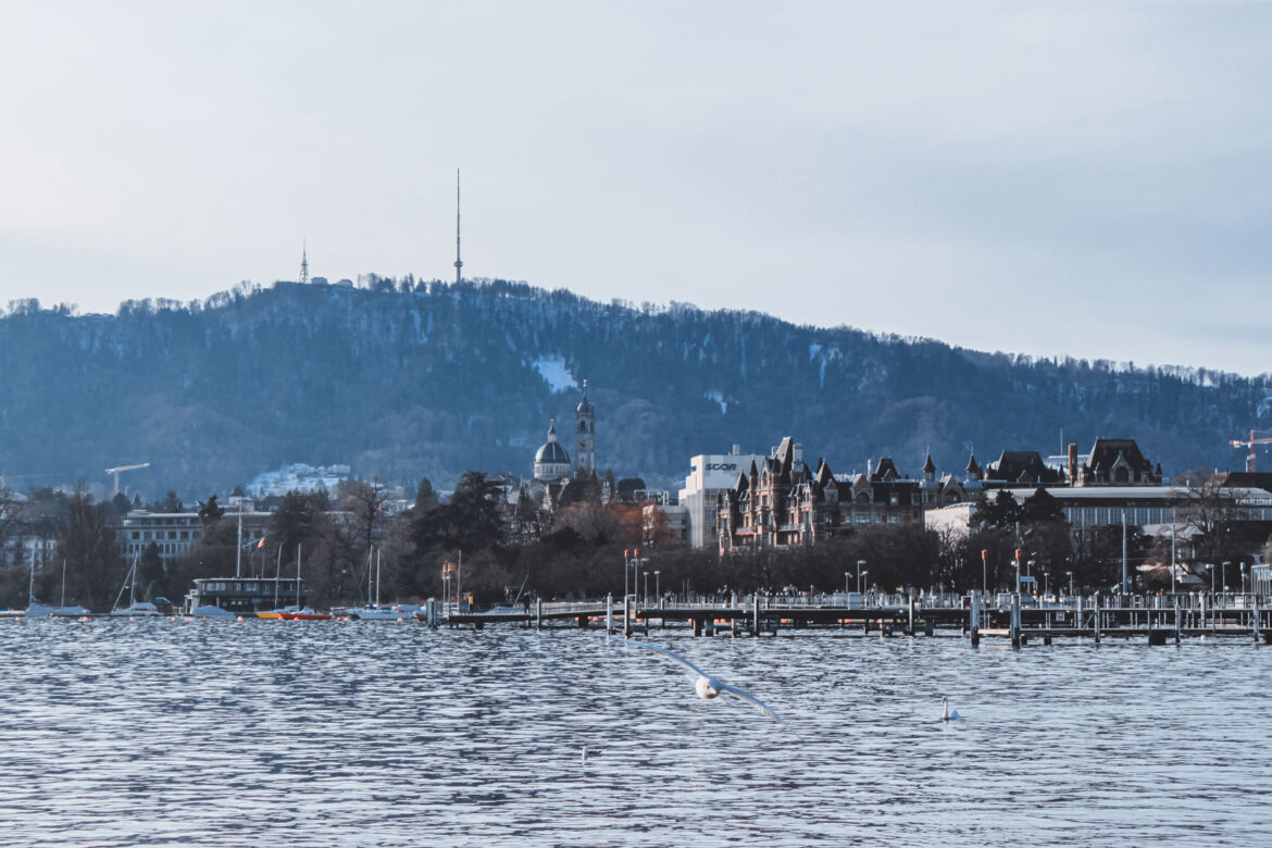 Vista de cisnes, gaivotas voando e barcos no famoso e enorme Lago de Zurique. Ao fundo, é possível ver parte da cidade antiga e montanhas cobertas de vegetação.