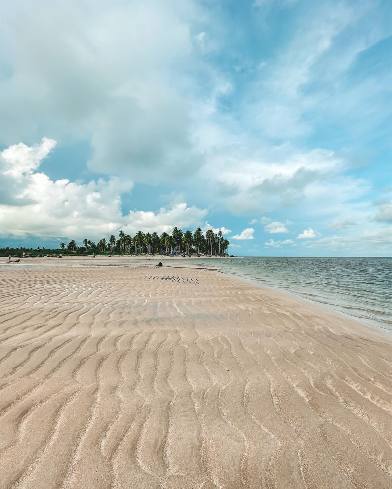 Extensão de areia da Praia de Tatuamunha margeando o mar, com coqueiros ao fundo. Uma das praias mais bonitas de Porto de Pedras.