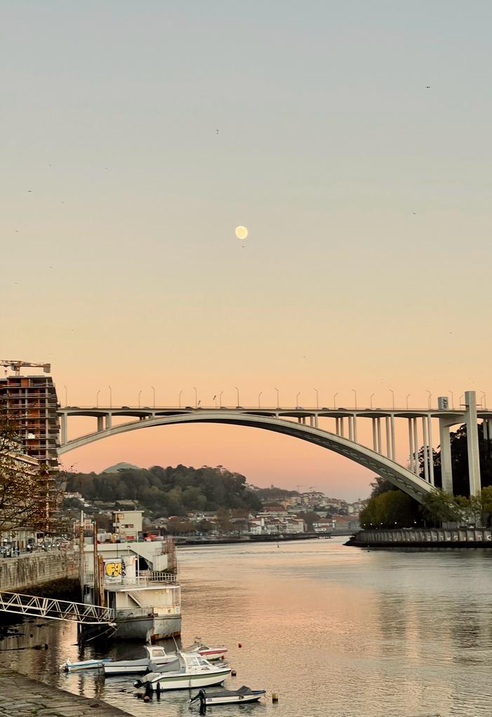 Ponte da Arrábida no final de tarde sob o Rio Douro, no Porto